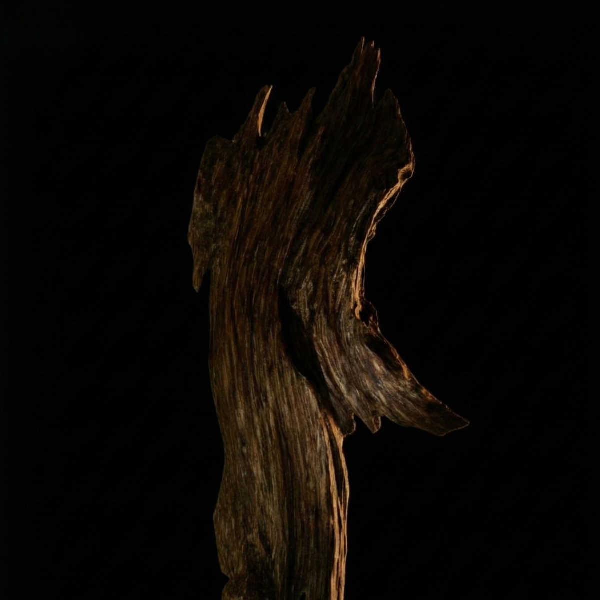 L’ombre boisée de Birmanie