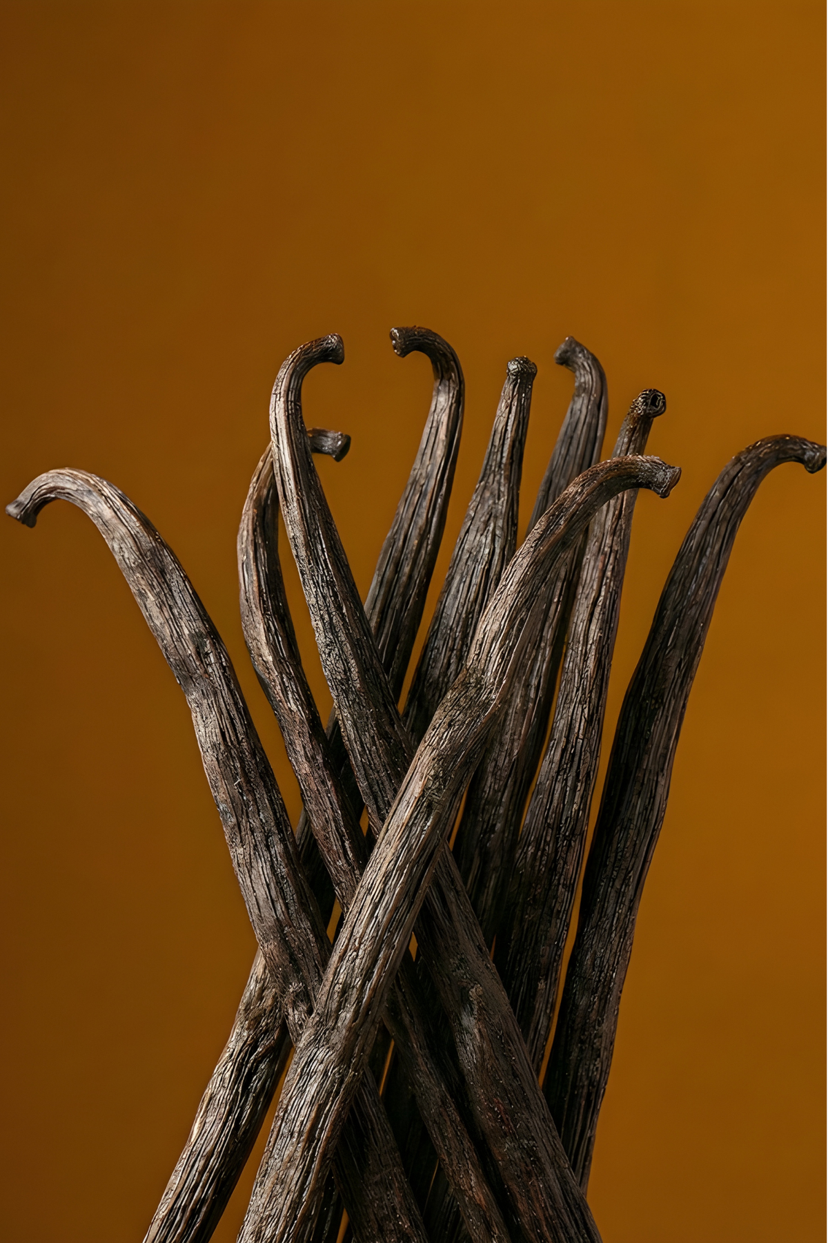 Une vanille de parfumeur